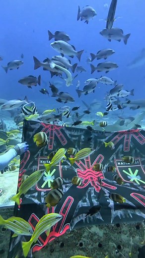 7.2K views · 4.5K reactions | #Naitasiri vanuinui vinaka 酪 | Nix Flix | Facebook