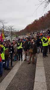 1.7K views · 47 reactions | Le Progrès Lyon on Reels | Facebook