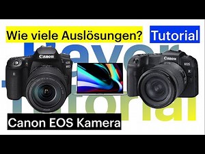 Canon Kamera (z.B. Canon EOS R, Canon EOS 90D, ...) Auslösungen auslesen Tutorial