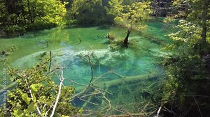 the Milino Jezero lake of Plitvice Lakes National Park in Croatia in Lika region. UNESCO World Heritage of Croatia named Plitvicka Jezera.