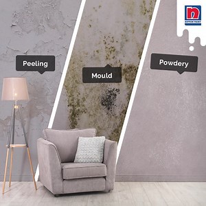 Problems such as peeling, mould and powdering may appear on your walls after some time. How do you deal with it? Do not fret! Let our Professional Painting Service help with your painting stress and worries! Start painting your dream home with us! Enquire about our Professional Painting Service at https://www.nipponpaint.com.sg/professional-painting-services | Nippon Paint Singapore