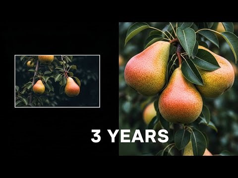 Pear Tree Growth Time-lapse | 3 Years in 2 Minutes