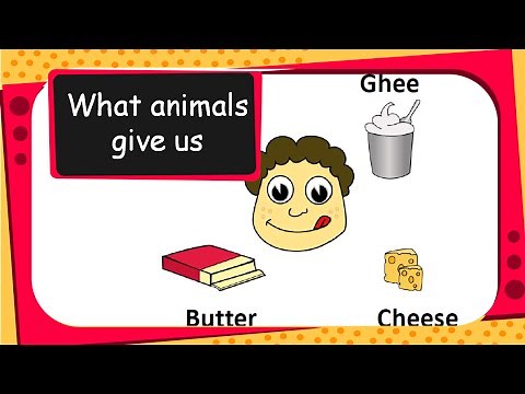Science - Uses of Animals - English