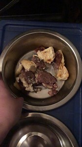 168 reactions · 23 comments | Arthur Chandler checking in…. we had company yesterday evening & they made me a bacon burger with a biscuit. It was yummy  | Buddy the Basset and Friends | Facebook