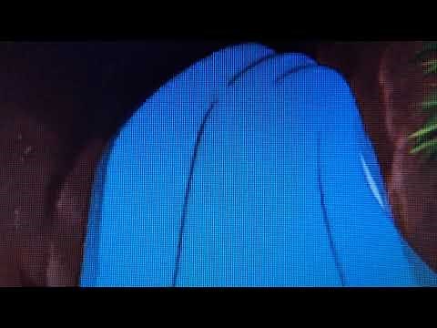 Alice never came free Rabbit Hole