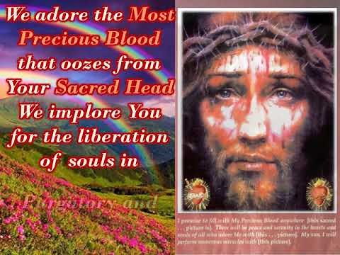 ADORATION PRAYERS TO THE MOST PRECIOUS BLOOD OF JESUS CHRIST - IMPROVED FOR MORE SOLEMN MEDITATION