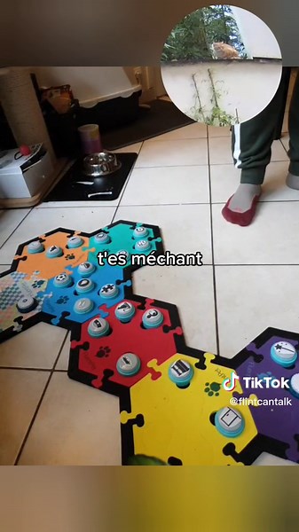 Le chat qui parle : Émotions et communication