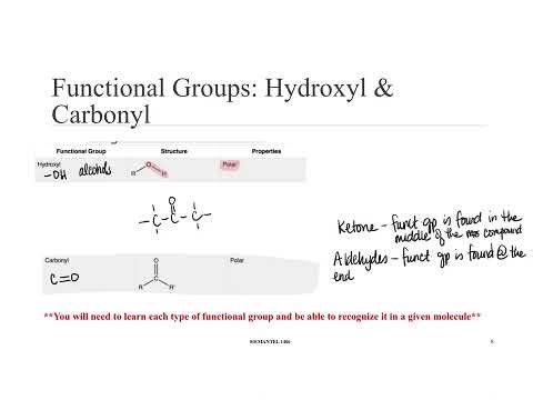 Chapter 3 Biological Molecules