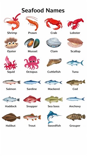 #vocabulary #levelup #fyp #fyppppppppppppppppppppppp #learnenglish | English Vocabulary