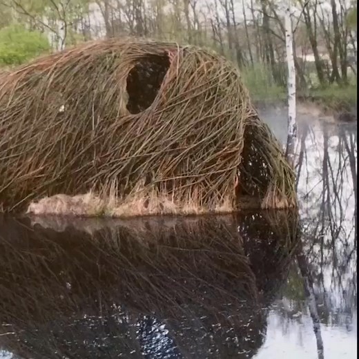 2.2K views | Calendar 2021-Art forms in Nature-For Sale 14 amazing shots from the collection of my artworks in the recently released calendar. Please direct message for more info #willbeckers #artwithoutwalls #artformsinnature | Will Beckers | Facebook