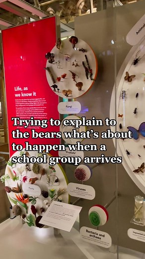 Special 'Please Touch' Specimens at Oxford University Museum