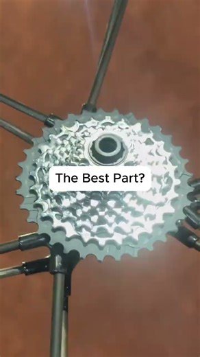 Expert Bike Servicing