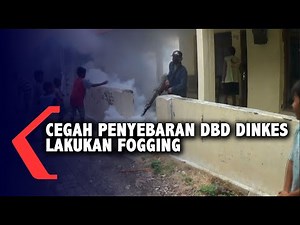 Cegah Penyebaran DBD, Dinkes Lakukan Fogging