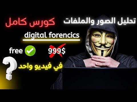 كورس تعلم تحليل الصور والملفات: كشف البيانات المخفية باستخدام Steganography | شرح كامل بالعربية