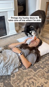 127K views · 6.7K reactions | always putting my needs first  #husky #huskies #dogvideos #funnydogs | Levi the Husky Rescue | Facebook