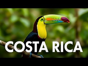COSTA RICA 4K | Beaches, Jungle, Wildlife & Volcanos - Pura Vida