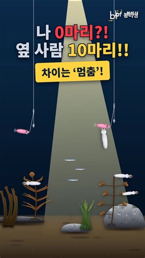 한치 입질은 던질 때가 아니라 '멈출 때' 옵니다 | 선상 한치 #shorts