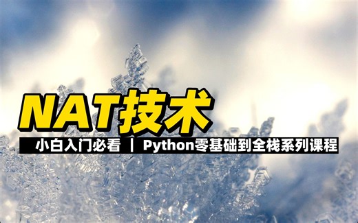 NAT技术 - 《Python零基础到全栈系列》