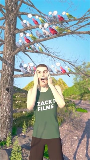 How parrots learn to swear 😮Zack d films