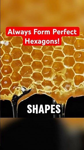 Why Honeycombs Always Form Perfect Hexagons