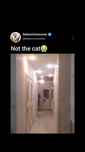 31K views · 448 reactions | All 9 lives were instantly gone | NerdLerd | Facebook