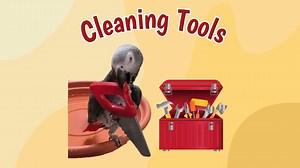 Watch Einstein the Parrot as he meticulously cleans his tools in this adorable and funny video! From hammers taking baths to screwdriver handle songs, Einstein engages in his unique tool-cleaning routine. Enjoy Einstein's delightful antics as he "cleans" his tools, proving once again that this parrot is full of surprises and charm! Video Highlights: The "Screwdriver Handle Song": "That makes a very nice sound, doesn't it, Einstein?" Tool bath time: "Did the hammer take a bath? Screwdriver handle