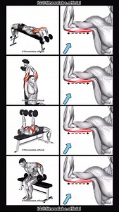 151K views · 10K reactions | ✅ Dumbbell Triceps Workout ① Decline Triceps Extension ② French Press ③ Tate Press ④ Kickback 3 sets 15 reps #fitness #gym #exercise #workout #workoutroutine #exercisetips #fitnesstips #bodybuilding #tríceps | Fitnesslabo | Facebook