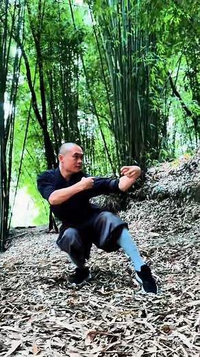 Drunk in appearance but strong-willed, unsteady in steps but sober in mind. “行醉意不醉，步醉心不醉。” This monk displays an impressive Drunken Fist performance, blending effortless flow, agility, and explosive power. A fusion of fluidity, deception, and precision, it's a formidable art that demands immense skill and control. #martialarts #martialartslife #wushu #kungfu #kungfulife #drunkenfist #drunkenmaster #talent #jackiechan #fist #training #trainingmotivation | All about Martial Arts