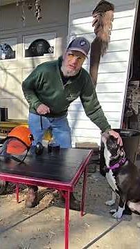 How to repair ear muffs on a Stihl helmet #shorts