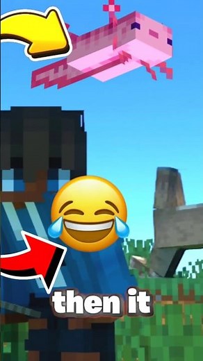 EVERY SECRET NAME TAG IN MINECRAFT 🤫