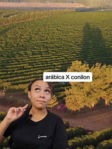 Diferença entre Café Arábica e Conilon: Conheça os Sabores