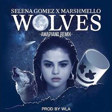 Selena Gomez - Wolves (Amapiano remix)