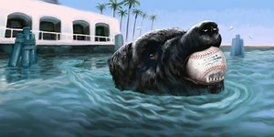 The dogs that retrieved balls from McCovey Cove