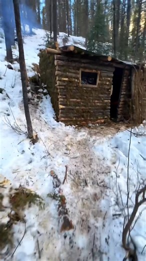 #bushcraft #build #camp #camping #survival #shelter #wildlife #Outdoors #outdoor #viral #foryou | Wild Trail Life