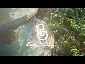 Warm spring day 🌿 Comforting instrumental music to bring solace like a gentle pause.