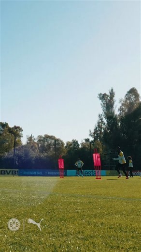 CLASS. 🤤 @serhou.guirassy | Borussia Dortmund