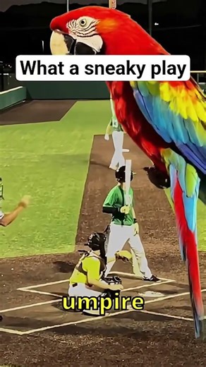 Don’t flame me I did add a object