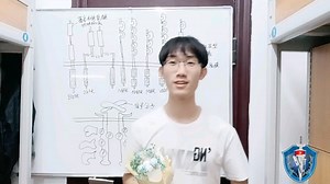 研vlog16.MAPK信号通路