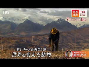 『世界遺産』7/7(日) シリーズ企画第1弾 〜 世界を変えた植物【TBS】