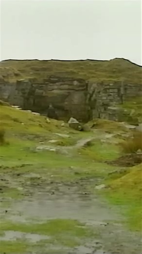 Mastering the Royal Marines Training Course