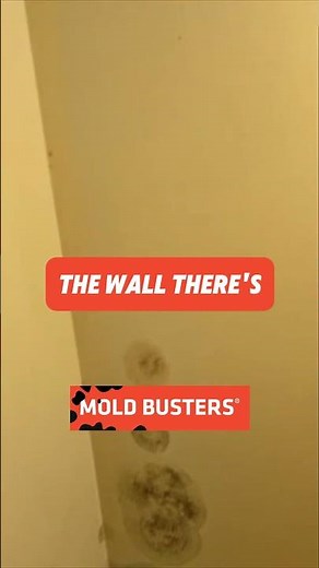 🚨Mold in the Ceiling? FREE Virtual Inspection