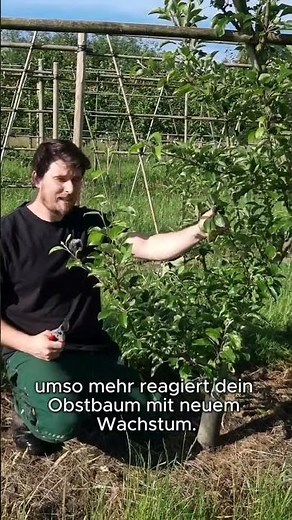 More harvest through summer pruning #gardentips #self-sufficient #organicfarming #organic #fruit