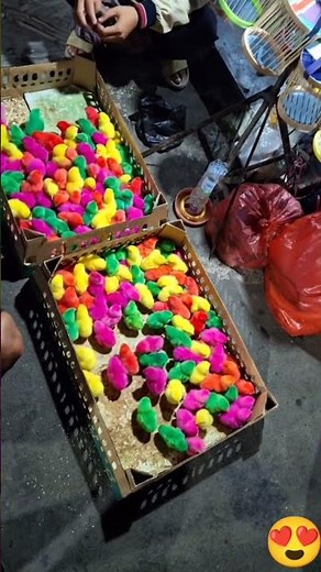 Colorful chicks 🐣🐥🐤😍 #cute #babychicks #babychicks #babychickens #chicks #chicksfeed #hijab #love