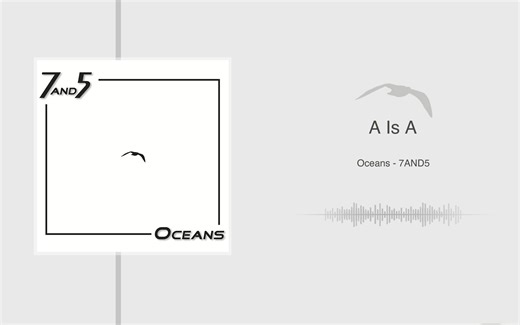 【无损音质】认真听一张专辑！纯音乐｜新世纪｜Oceans-7AND5_哔哩哔哩_bilibili