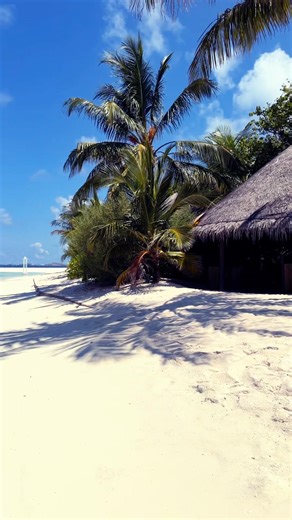 The Life In The Maldives #maldives #travel