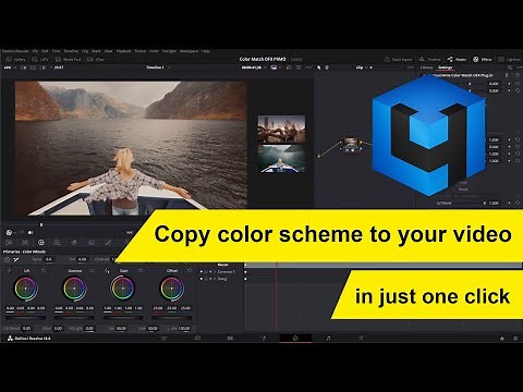 Retouch4me Color Match OFX: copy colors to your video!
