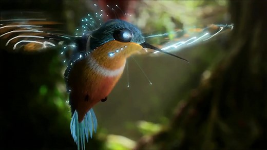 Magical Hummingbird Live Wallpaper - MoeWalls