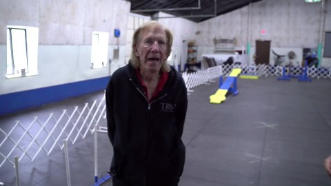 Tom Rose reveals the secrets to teaching agility weave poles and tunnels