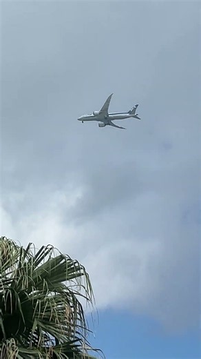 石垣島のホテル上空を旅客機が飛ぶ😲#石垣島 #旅客機 #ANAインターコンチネンタル石垣リゾート