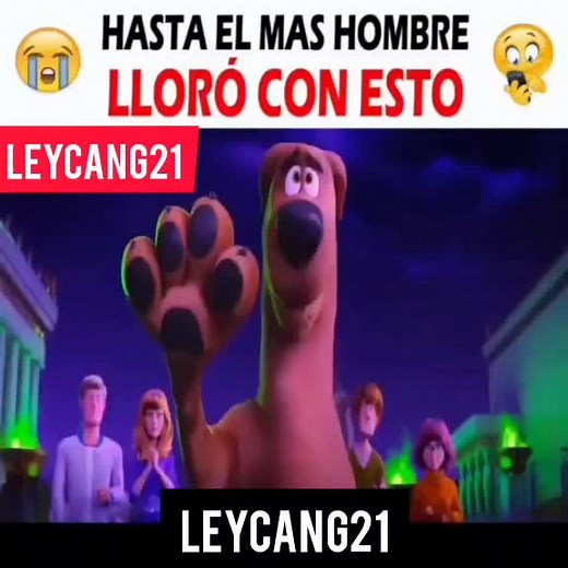Emocionante video de Scooby Doo y Shaggy que te hará llorar 😭🤧
